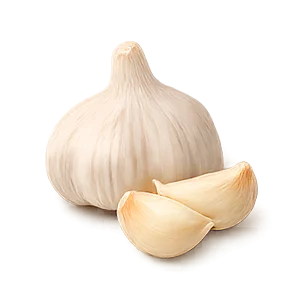 Ateril — Ajo (Allium sativum)